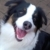 Zdjęcie profilowe K0LP Konrad W